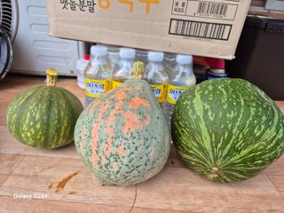 전홍열님의 작성글 사진