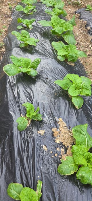 이정주님의 자유주제 · 자유게시판 작성글 사진