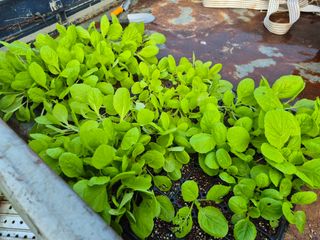 이정민님의 자유주제 · 사진전 작성글 사진