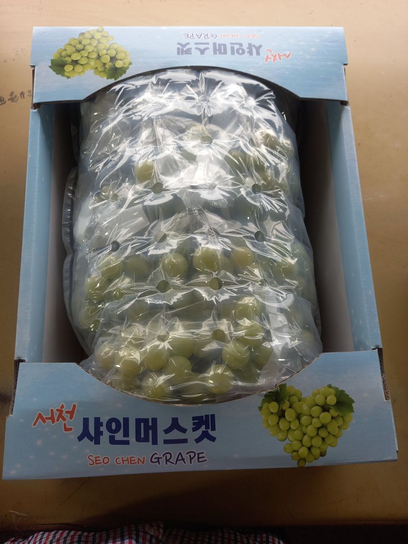 박미옥 님의 장터 판매 상품 [샤인머스켓 4kg] 첨부 사진