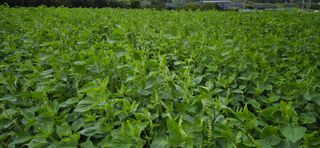 최용운님의 자유주제 · 자유게시판 작성글 사진