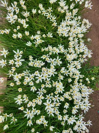 연향님의 자유주제 · 자유게시판 작성글 사진