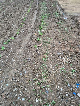 이정민님의 자유주제 · 사진전 작성글 사진