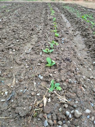 이정민님의 자유주제 · 사진전 작성글 사진