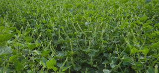 최용운님의 자유주제 · 자유게시판 작성글 사진