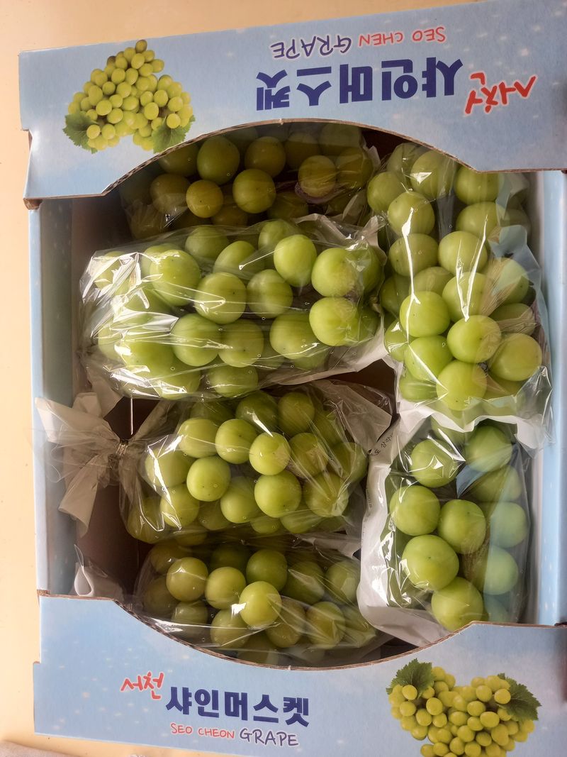 박미옥 님의 장터 판매 상품 [샤인머스켓 4kg] 첨부 사진
