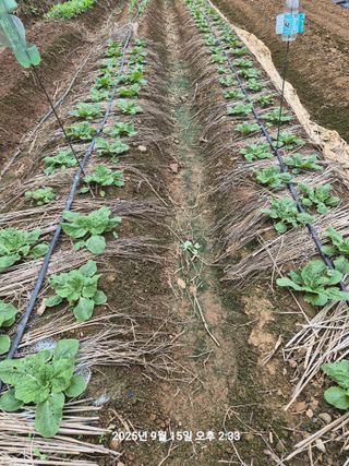 정택님의 자유주제 · 자유게시판 작성글 사진