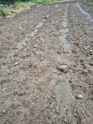 이정민님의 자유주제 · 사진전 작성글 사진