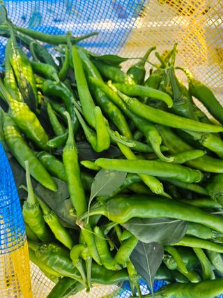 아이농장님의 작성글 사진