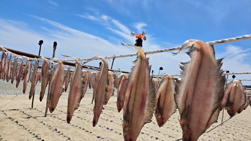 농수사님의 장터 판매 상품 [영덕 감포 물가자미 참가자미 ] 첨부 사진