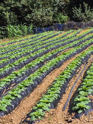 엘림농장님의 자유주제 · 칭찬해요 작성글 사진