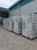 팜모닝 자유주제·자유게시판 게시글 이미지