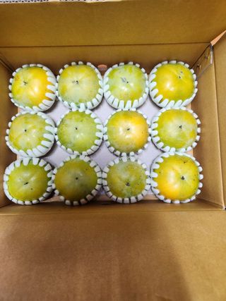 밀양달콤팜님의 자유주제 · 자유게시판 작성글 사진