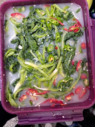 김기한님의 자유주제 · 자유게시판 작성글 사진