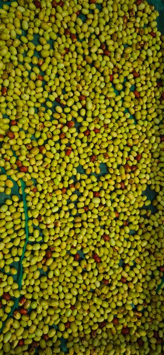 최용운님의 자유주제 · 자유게시판 작성글 사진