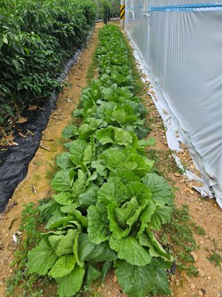 손기홍님의 자유주제 · 자유게시판 작성글 사진