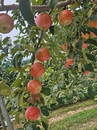 손기홍님의 자유주제 · 자유게시판 작성글 사진