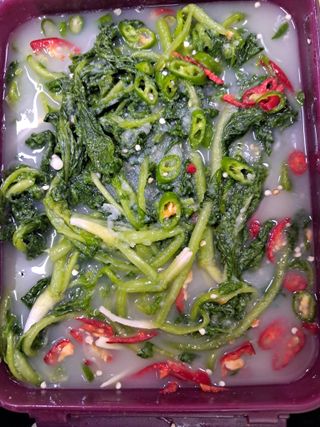 김기한님의 자유주제 · 자유게시판 작성글 사진