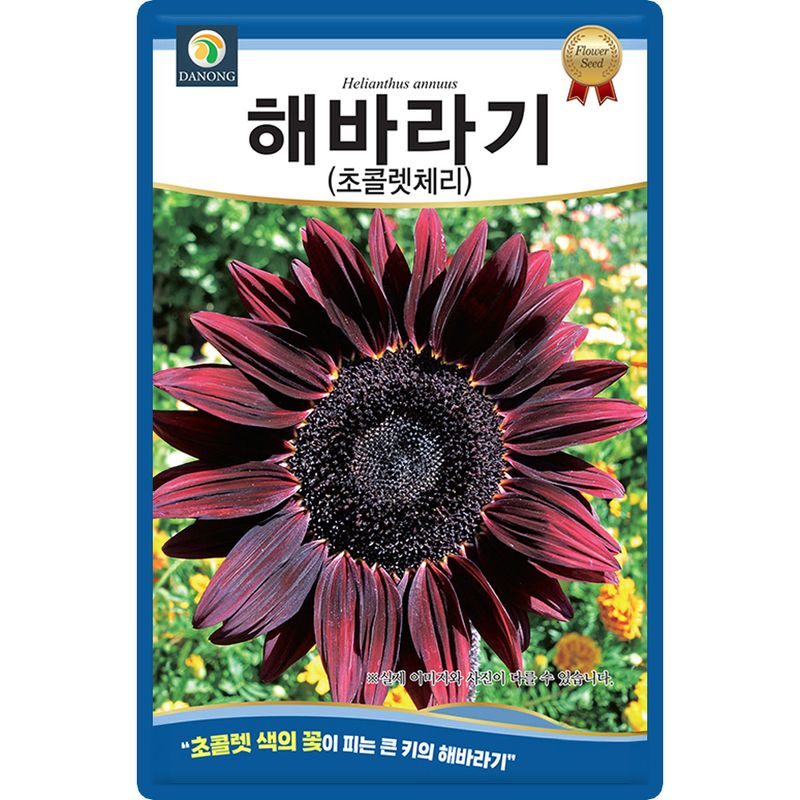 장터 상품 [해바라기 씨앗 50립 초콜렛체리 큰키 해바라기 5+1랜덤씨앗 증정 ] 썸네일