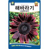 팜모닝 · 게시글 이미지