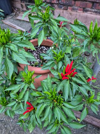 이정민님의 자유주제 · 사진전 작성글 사진