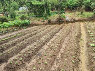 조정권님의 자유주제 · 자유게시판 작성글 사진