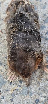 팜모닝 자유주제·자유게시판 게시글 이미지