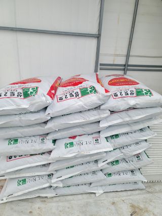 장인호님의 작성글 사진