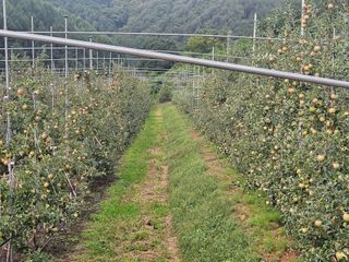 손기홍님의 자유주제 · 자유게시판 작성글 사진