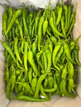 팜모닝 · 게시글 이미지