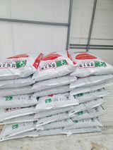 팜모닝 · 게시글 이미지