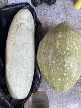 팜모닝 자유주제·자유게시판 게시글 이미지