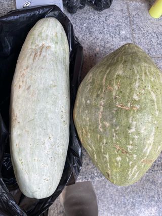 서병수님의 자유주제 · 자유게시판 작성글 사진