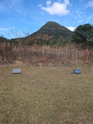 김영복님의 자유주제 · 자유게시판 작성글 사진