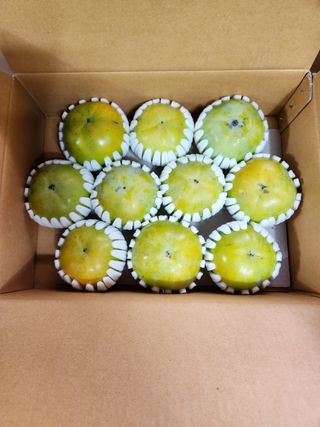 밀양달콤팜님의 자유주제 · 자유게시판 작성글 사진