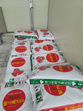 장인호님의 작성글 사진