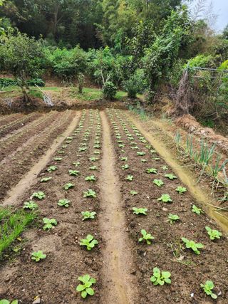 조정권님의 자유주제 · 자유게시판 작성글 사진