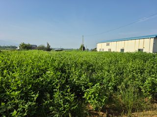 찬균park님의 자유주제 · 자유게시판 작성글 사진