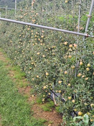 손기홍님의 자유주제 · 자유게시판 작성글 사진