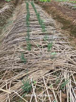 정택님의 자유주제 · 자유게시판 작성글 사진
