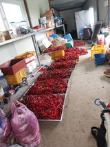 팜모닝 자유주제·자유게시판 게시글 이미지