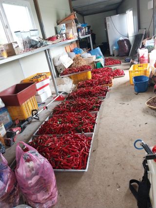 영수농원님의 자유주제 · 자유게시판 작성글 사진