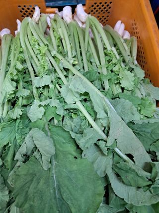 김기한님의 자유주제 · 자유게시판 작성글 사진