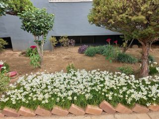 연향님의 자유주제 · 자유게시판 작성글 사진