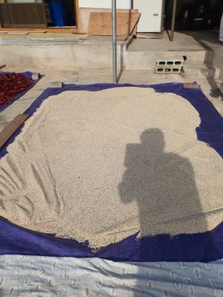 김영복님의 자유주제 · 자유게시판 작성글 사진