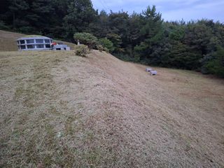 김용환님의 자유주제 · 자유게시판 작성글 사진