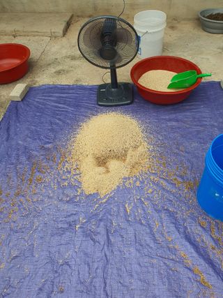 김영복님의 자유주제 · 자유게시판 작성글 사진