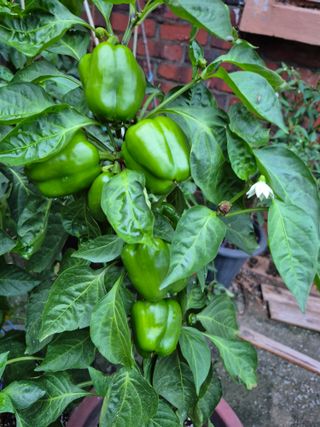 이정민님의 자유주제 · 사진전 작성글 사진