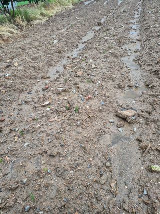 이정민님의 자유주제 · 사진전 작성글 사진