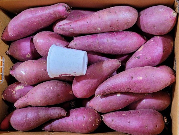 매실31872님의 장터 판매 상품 [햇고구마 판매합니다 ] 첨부 사진